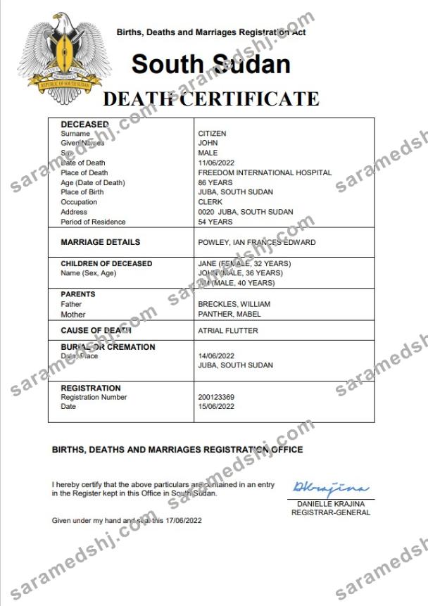South Sudan vital record death certificate Word and PDF template